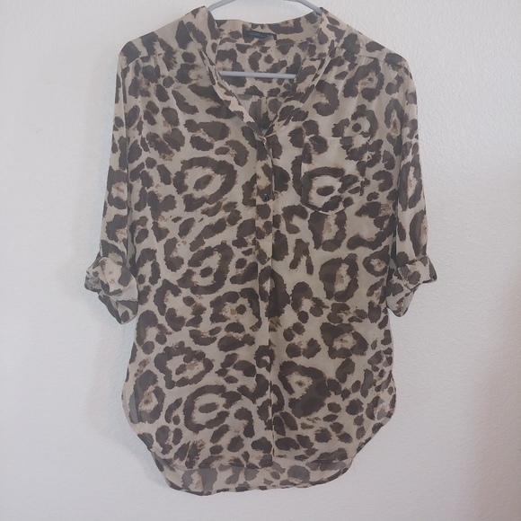Cals Tops - Cheetah leopard print sheer popover blouse